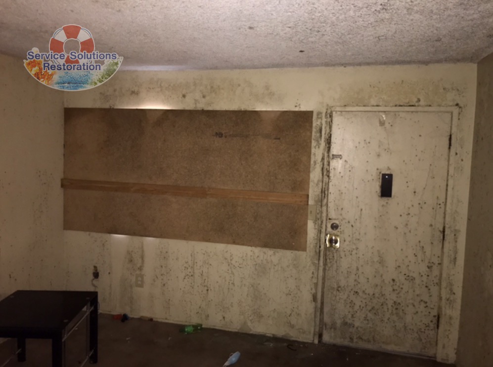 mold in a san diego home